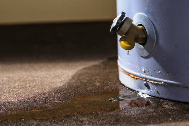 Water damage restoration experts in AL