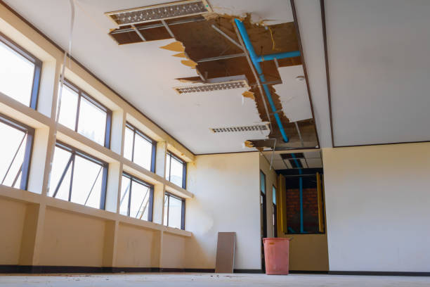 Best Sewage cleanup and water damage restoration  in Anniston, AL
