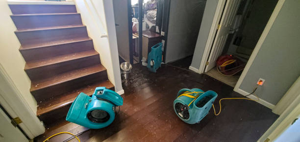 Best Fire Damage Restoration  in Anniston, AL