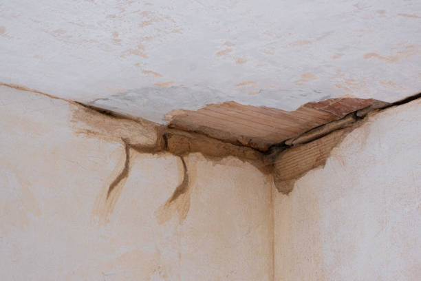 Best Basement water damage restoration  in Anniston, AL