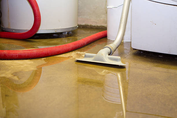 Best Flood restoration services  in Anniston, AL