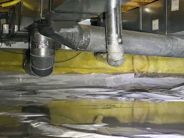 Best Water damage mitigation services  in Anniston, AL