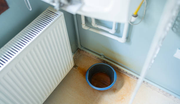 Best Water damage contractors near me  in Anniston, AL
